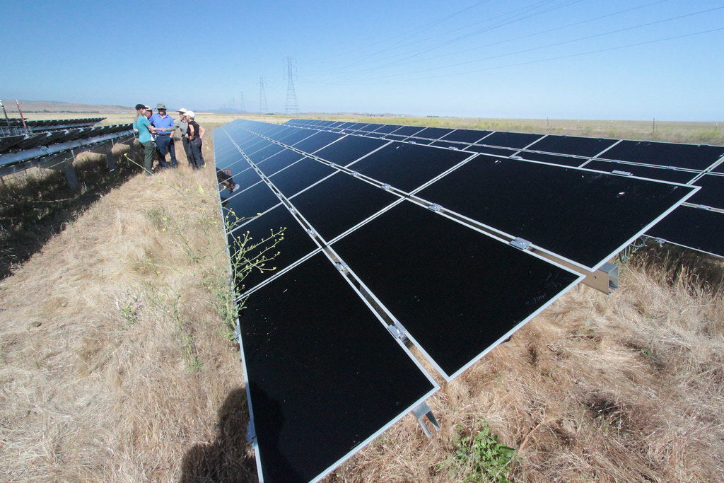Commercial Solar Panel Efficiency Comparison Explained: How Romania's 141 MWh Co-Located BESS Reshapes Solar Farm Economics