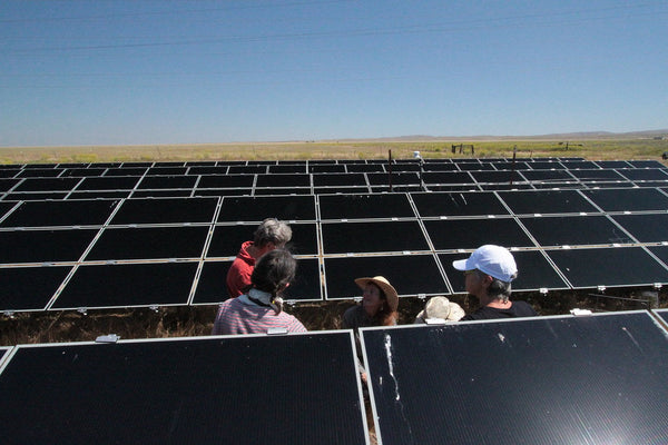 Large-scale ground-mount solar photovoltaic field with bifacial panels under open sky