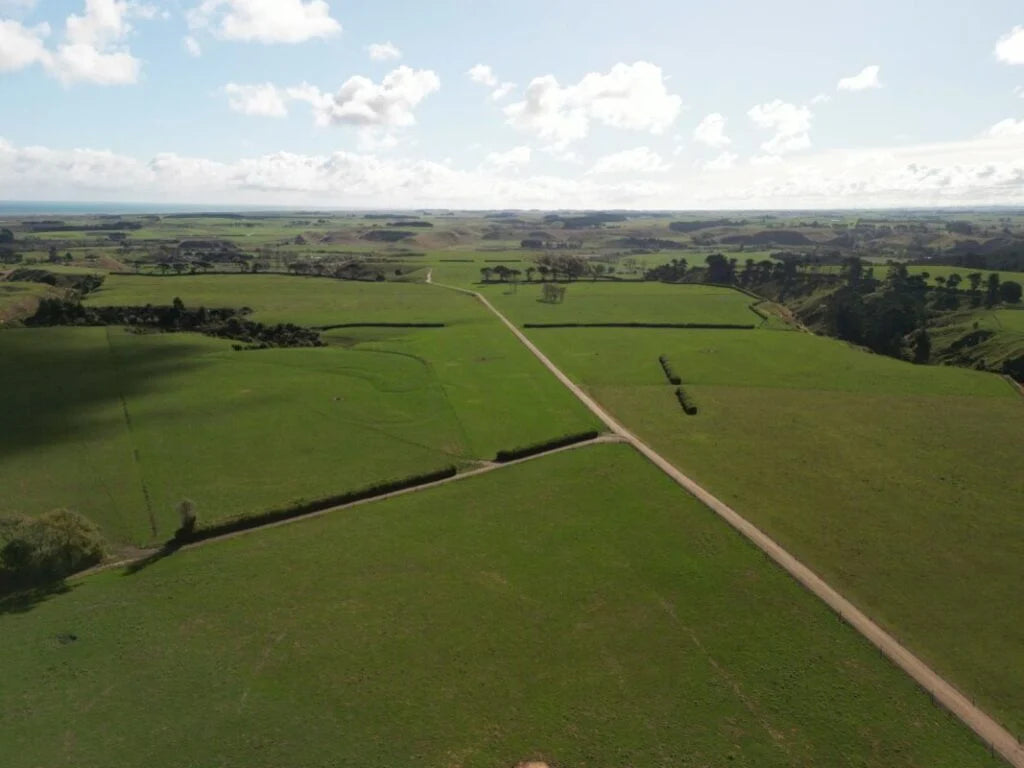 New Zealand's Largest Renewables Project: 622MW Waiinu Hybrid Enters Fast-Track Consent