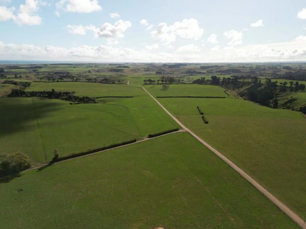 Meridian Energy Waiinu Energy Park site in New Zealand North Island west coast wind solar BESS hybrid renewable energy project
