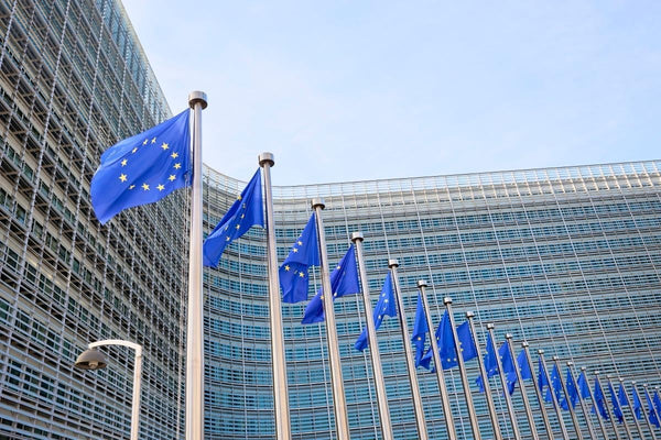 EU Electrification Action Plan 200GW energy storage target 2030 analysis featured image