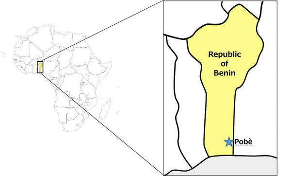 Toyota Tsusho 50MW 160MWh battery energy storage system for Benin solar plants in West Africa