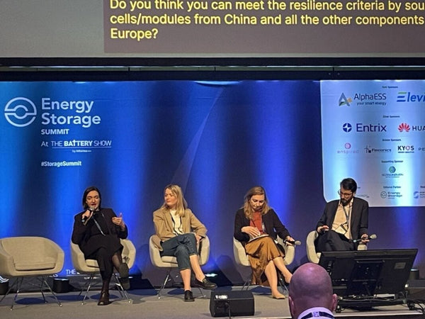 Germany BNetzA post 2029 dynamic grid fees BESS regulation flexible connection agreements Europe analysis