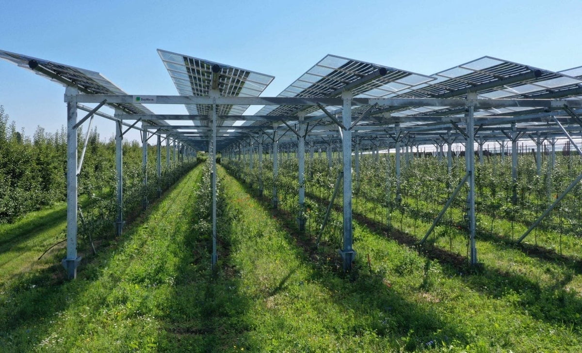 Spain €360M RENOINN 2 AgriPV-BESS Analysis — Solar-Plus-Storage Agricultural Innovation Future 2026