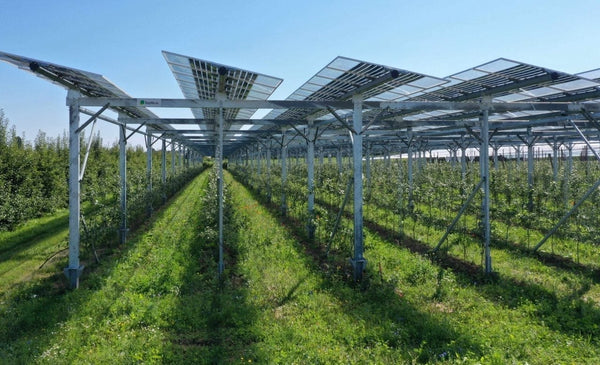 Energy storage industry analysis featured image
