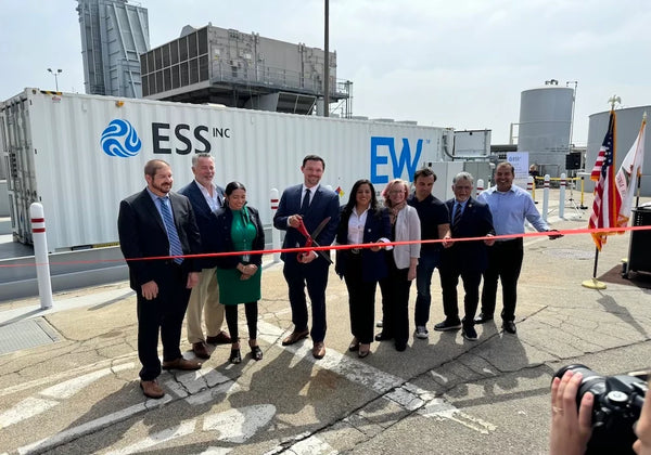 ESS Inc sodium-ion battery strategic pivot iron flow battery SPAC failure Drew Buckley CEO commercial failure turnaround